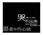 适合发快手的视频大全